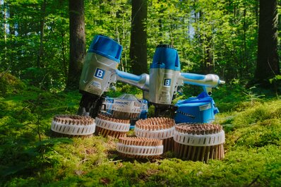 Foto von LIGNOLOC® Systemen im Wald