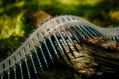 Scrail® nail screws in a forest