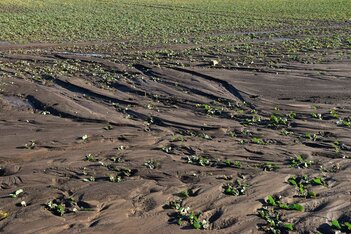 Loss of fertile topsoil