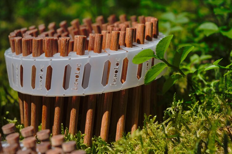 A coil magazine of LIGNOLOC® Wooden Nails by BECK, photographed in the forest