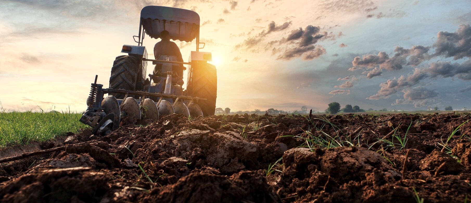 Beck Branchen Landwirtschaft